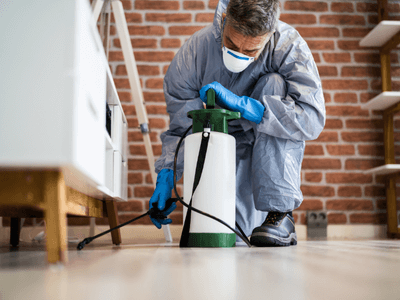 About Allen Park Residential Pest Control - residential pest control experts in Allen Park