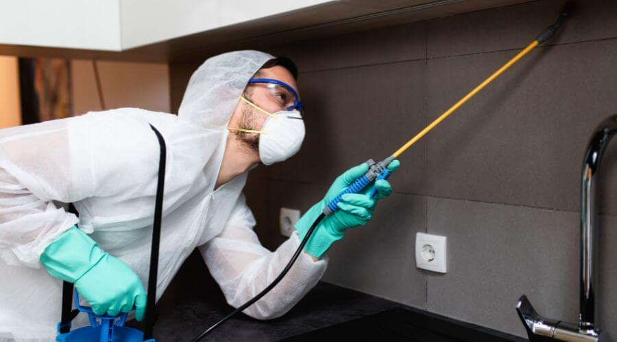 Why choose Allen Park Residential Pest Control for residential pest control in Allen Park